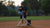 Everything To Know About Baseball Pitching Machines